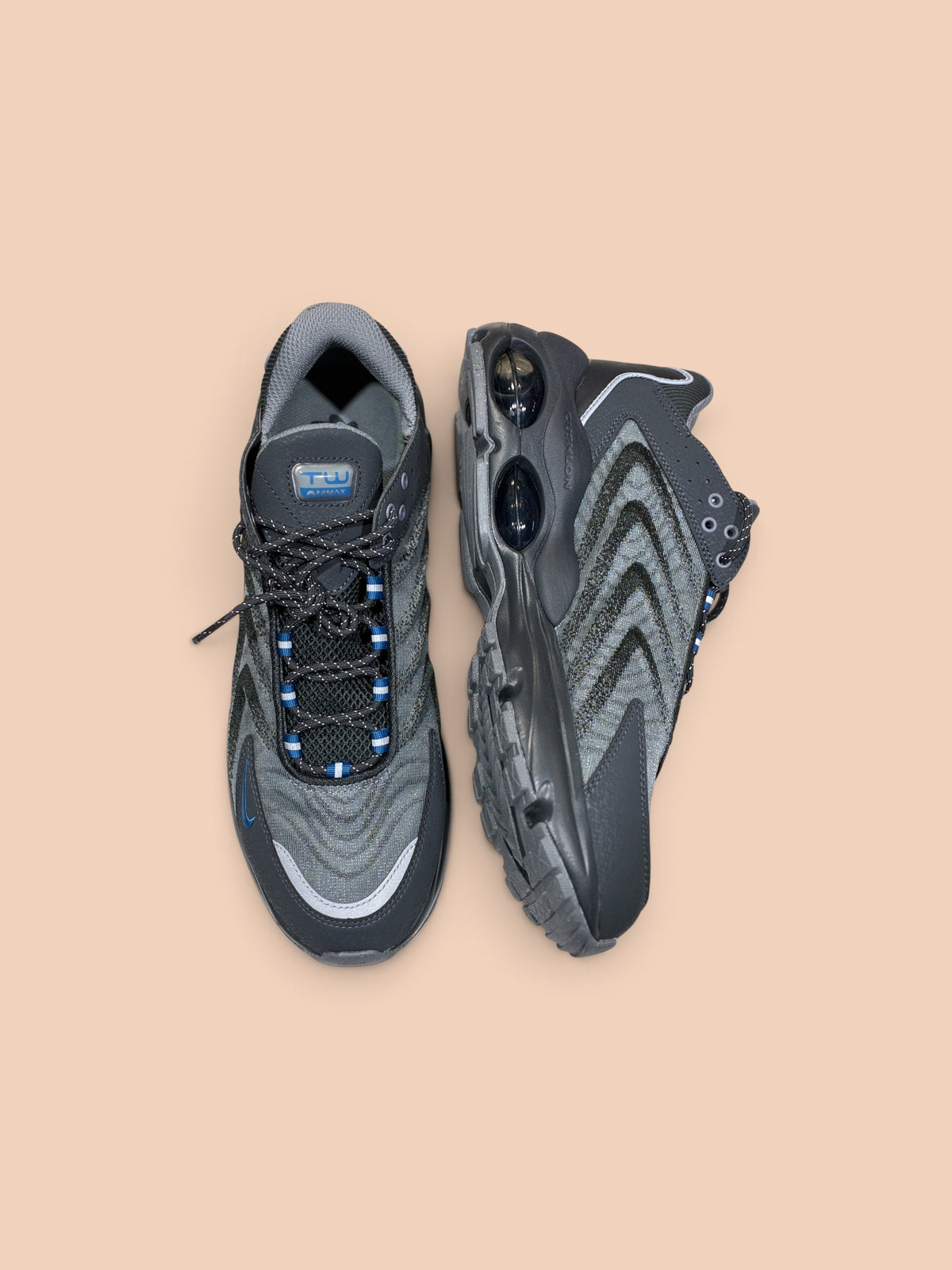 Nike Men's Air Max TW